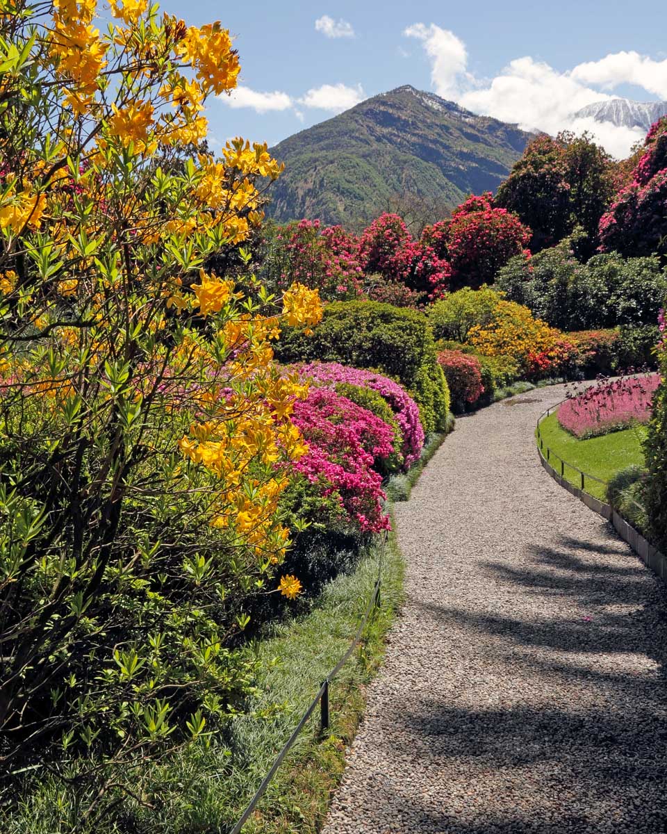 The gardens of Villa Carlotta in Tremezzo on Lake Como Italy