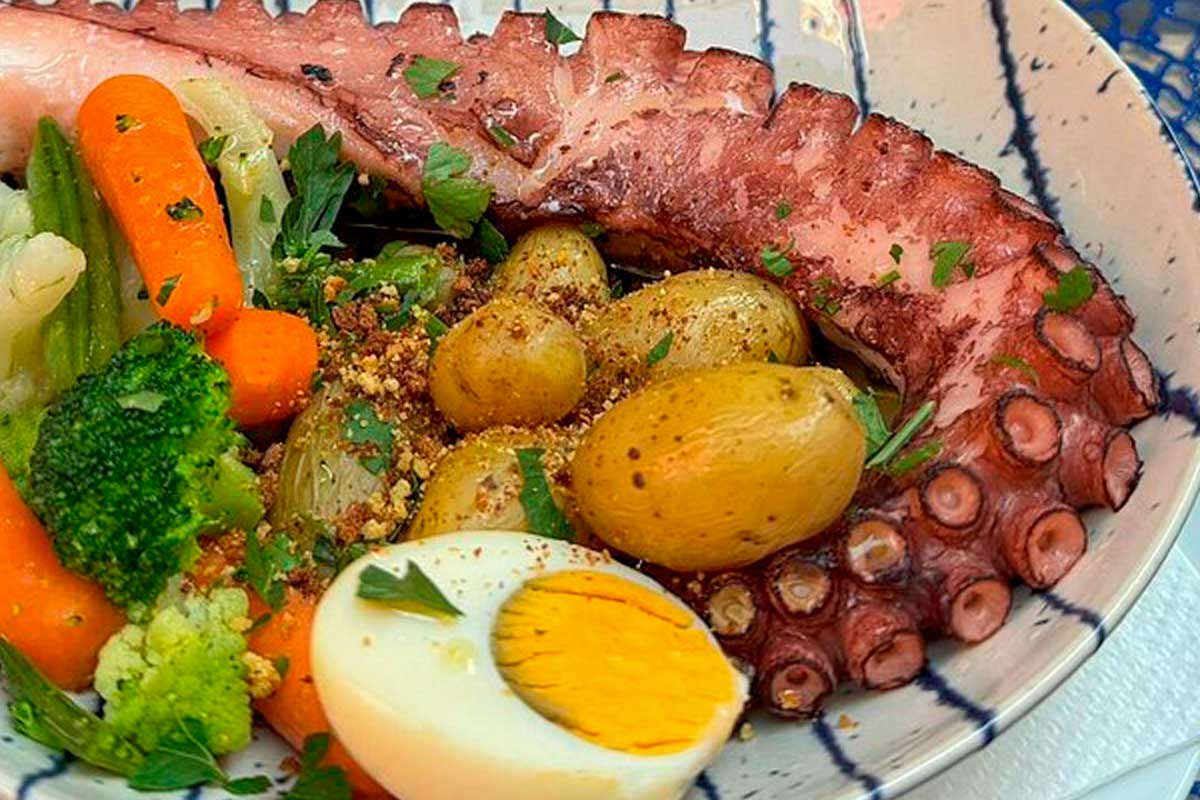 Voltaria octopus in Porto Portugal