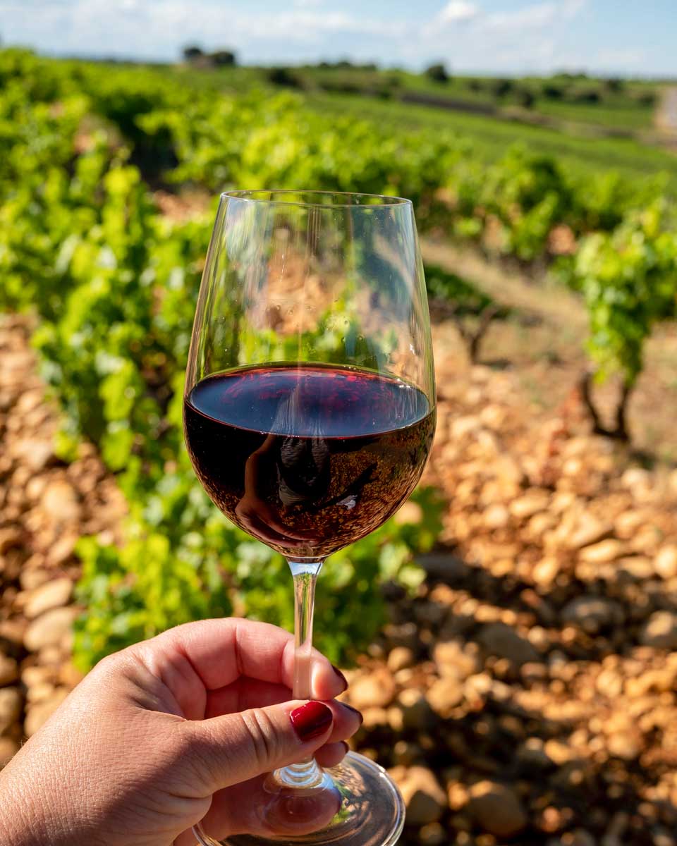 Wine drank at Fattoria Poggio Alloro on a tour of Tuscany from Florence Italy