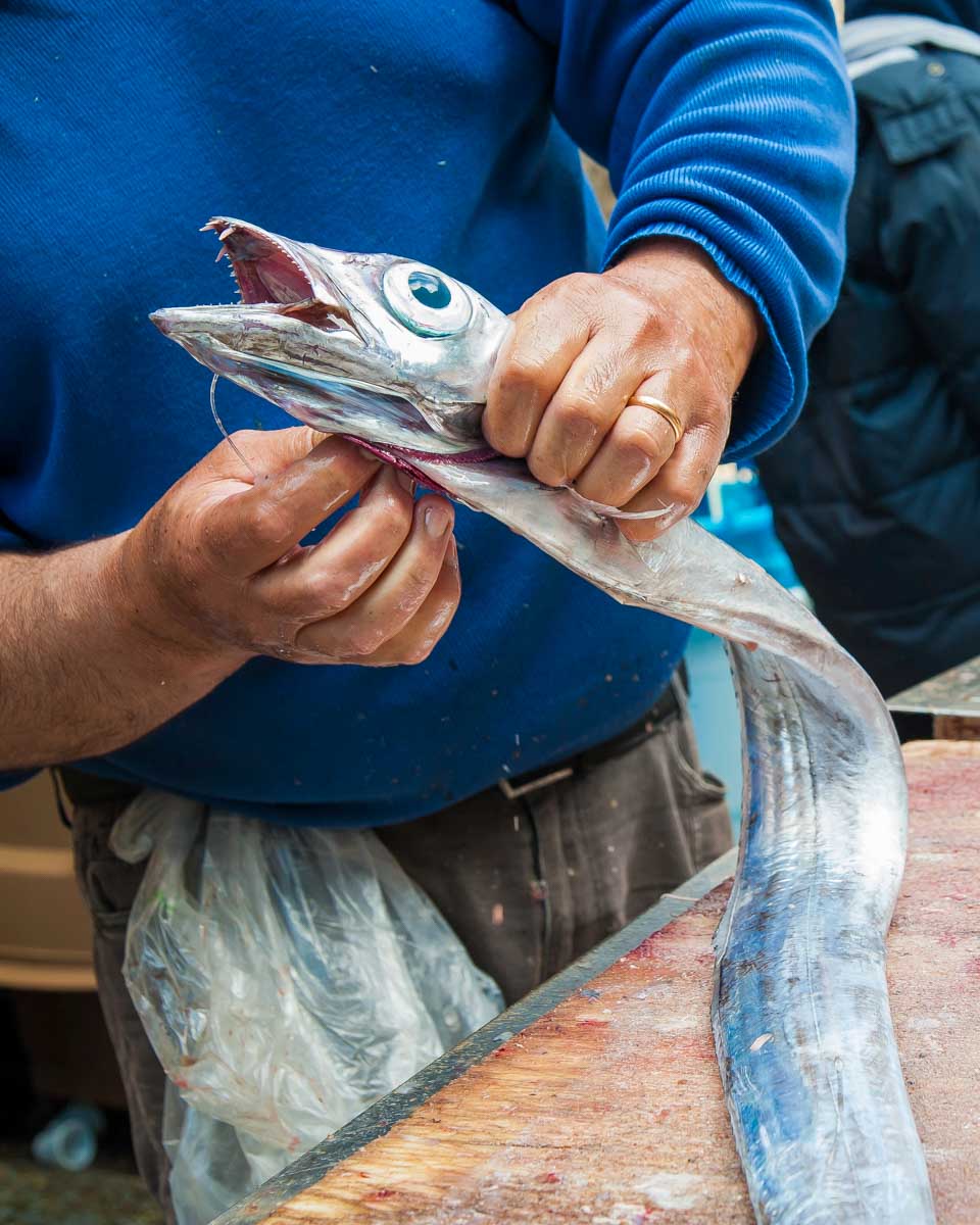 A man holds a fish at a market in Gruž Dubrovnik Croatia