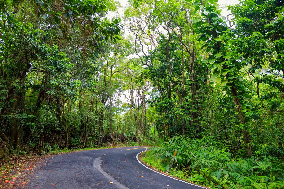 A road in Maui Hawaii