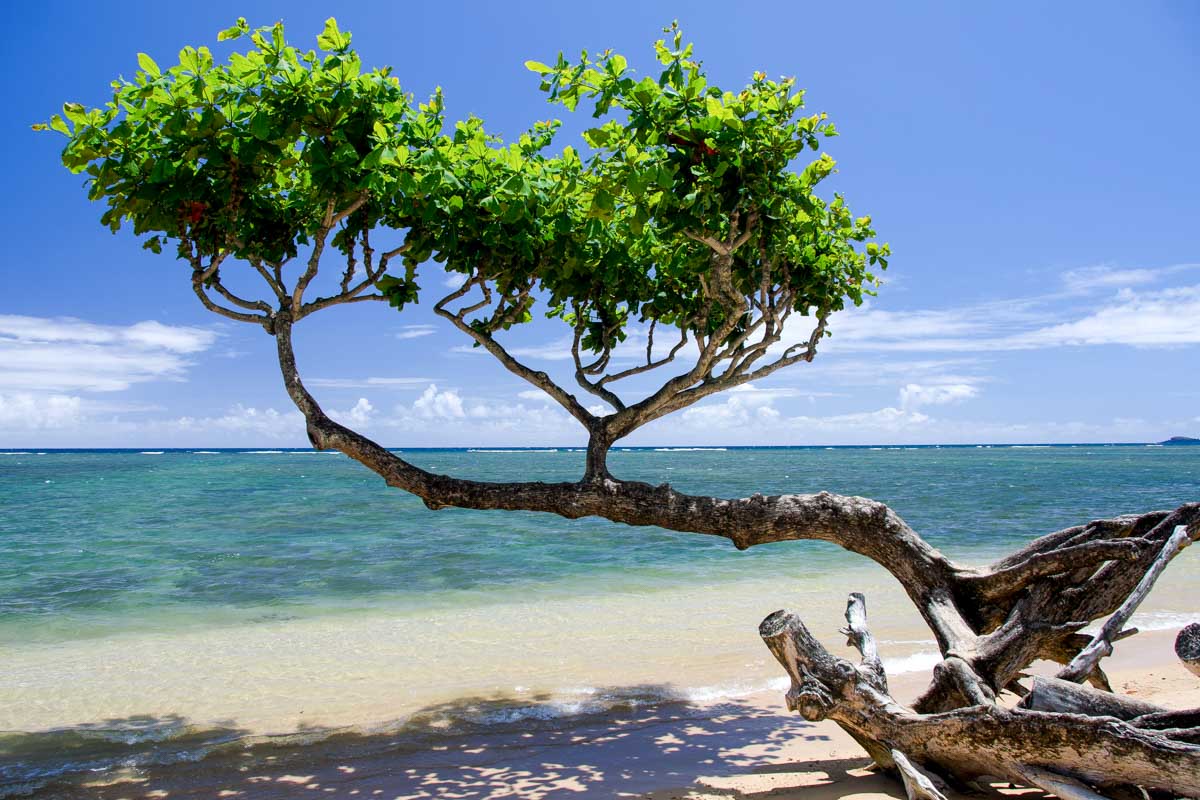 Anini Beach on Kauai Hawaii