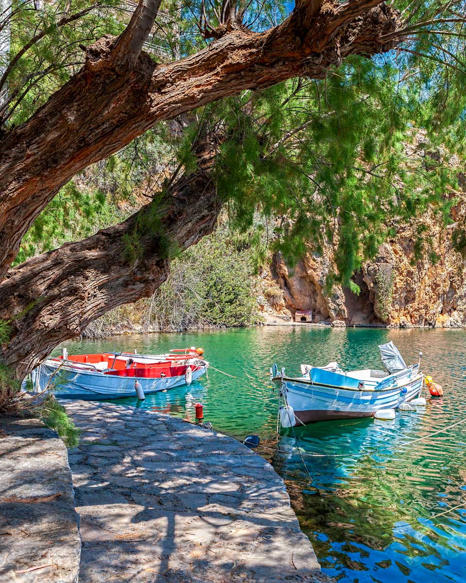 Boats under a tree in Agios Nikolaos Crete Greece