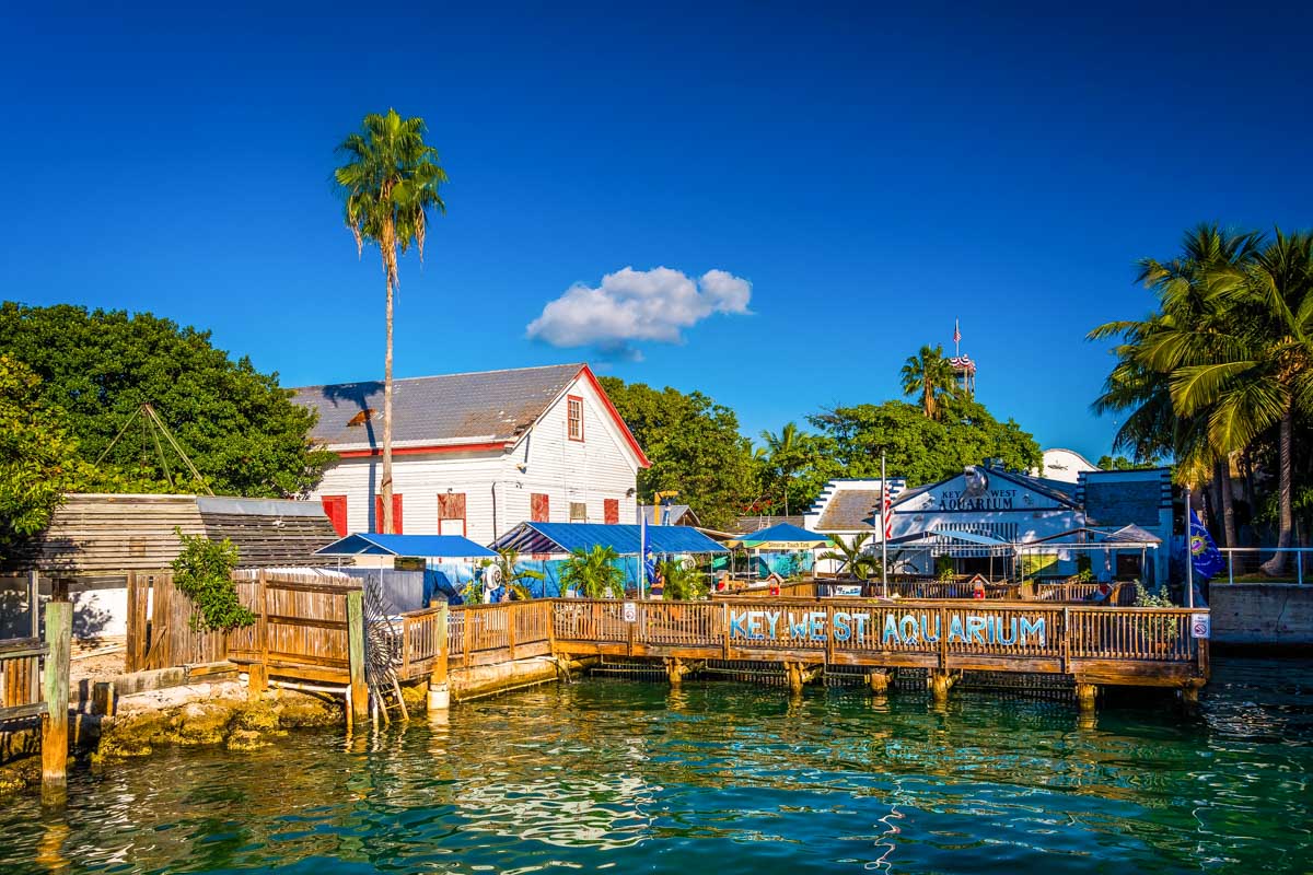 Key West Aquarium in Key West Florida