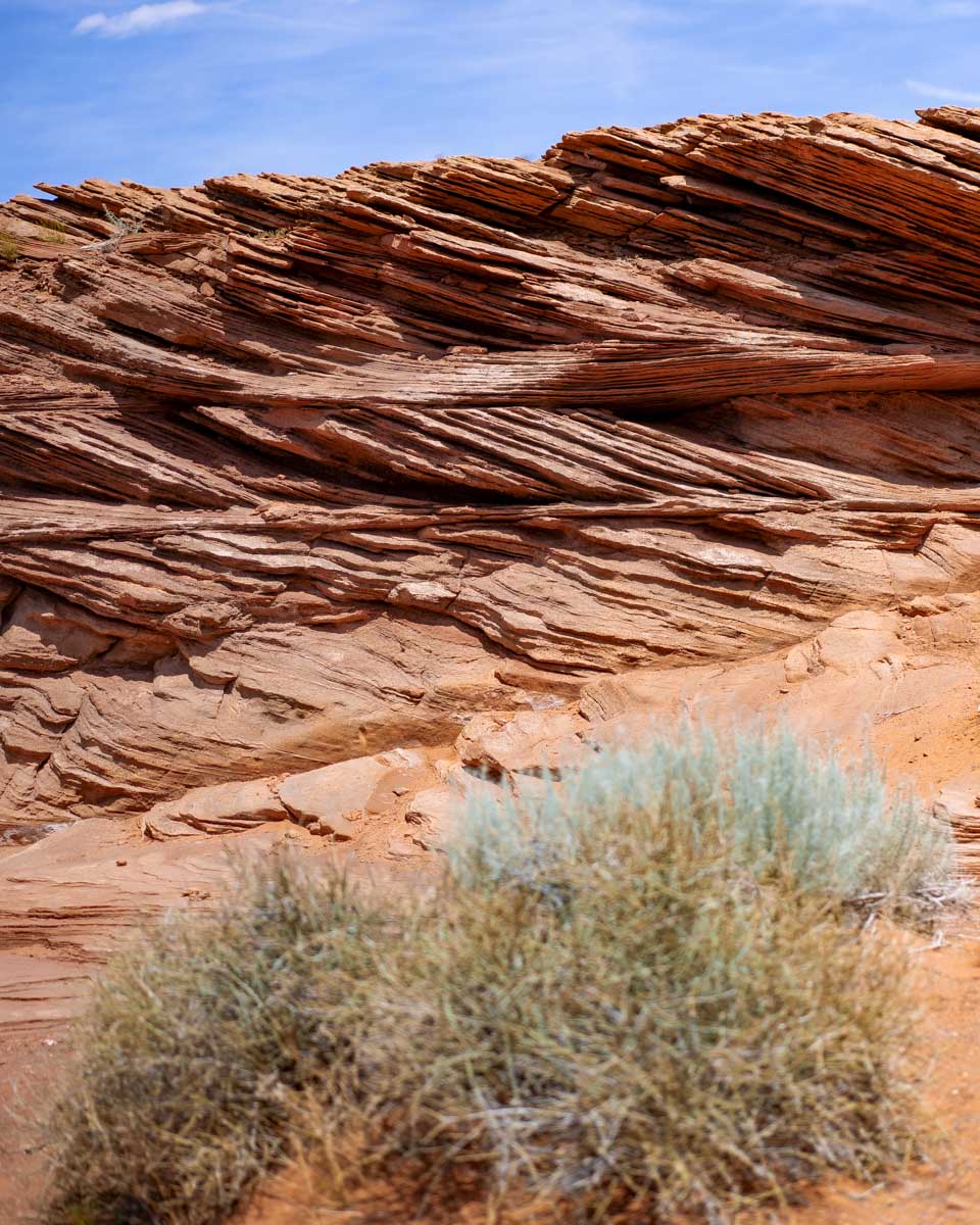 The desert seen when walking to Horseshoe Bend on a tour from Page Arizona