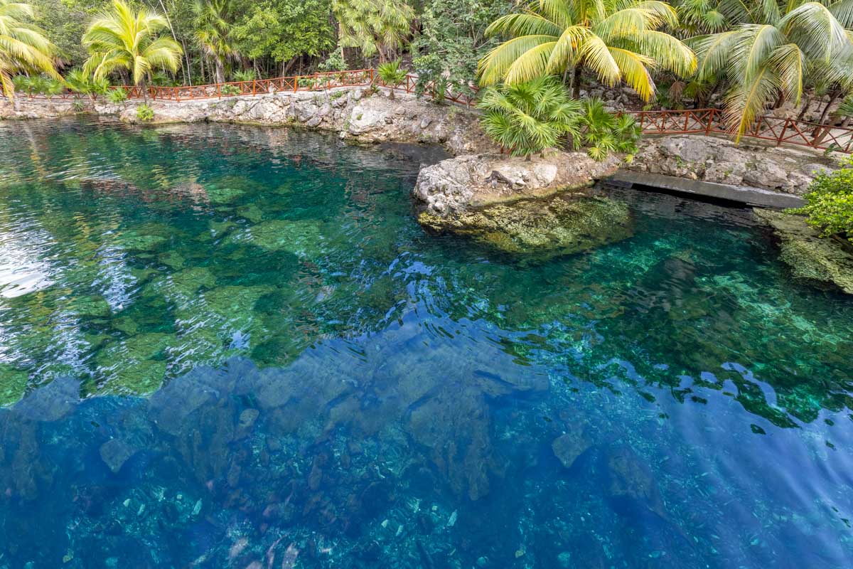 Casa Cenote seen on a day trip from Tulum Mexico