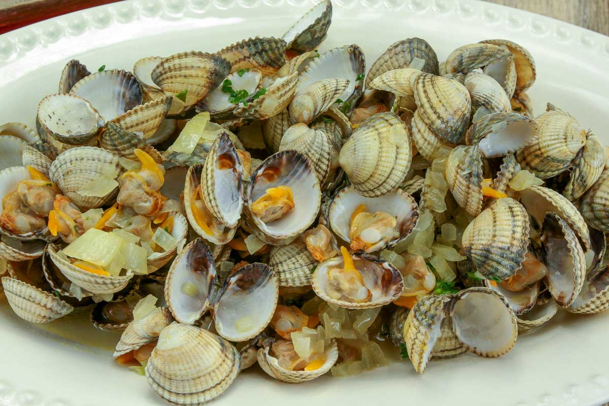 Cooked cockles in Bilbao Spain