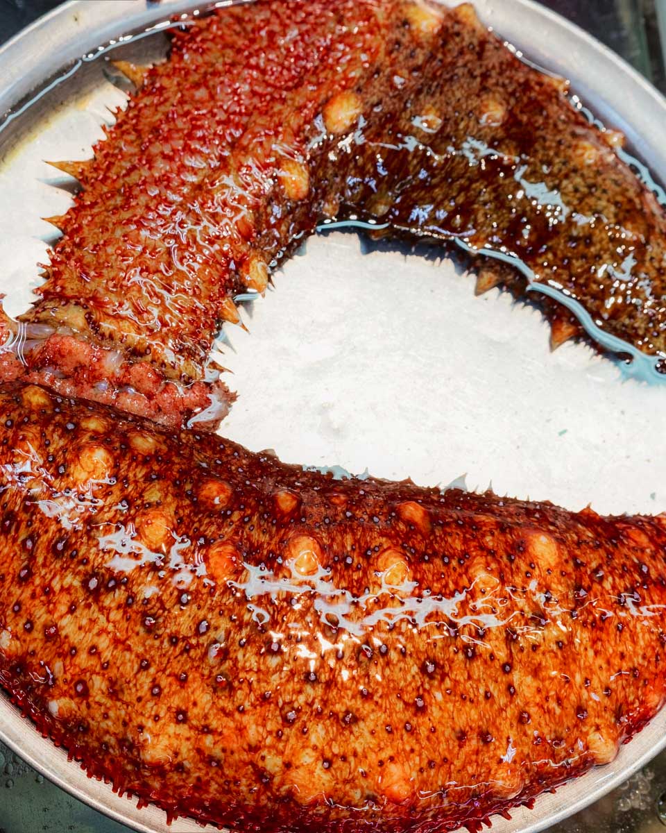 Fresh sea cucumbers at jagalchi fish market in Busan South Korea
