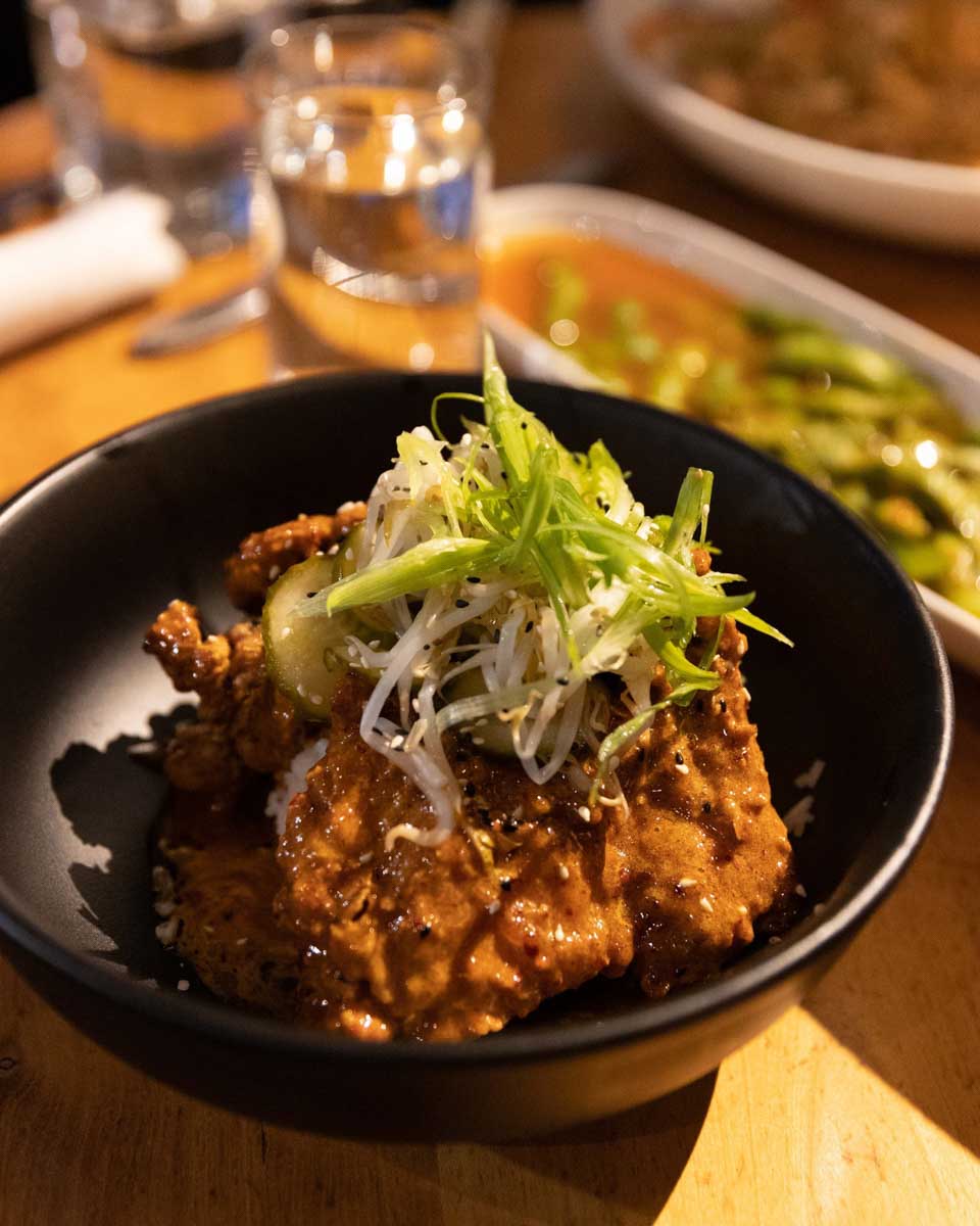 Ginger in Anchorage Alaska (1)