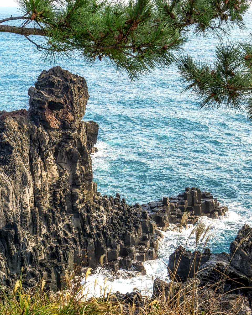 Jusangjeolli Cliffs in the Jungmun Tourist Coplex Jeju Island South Korea