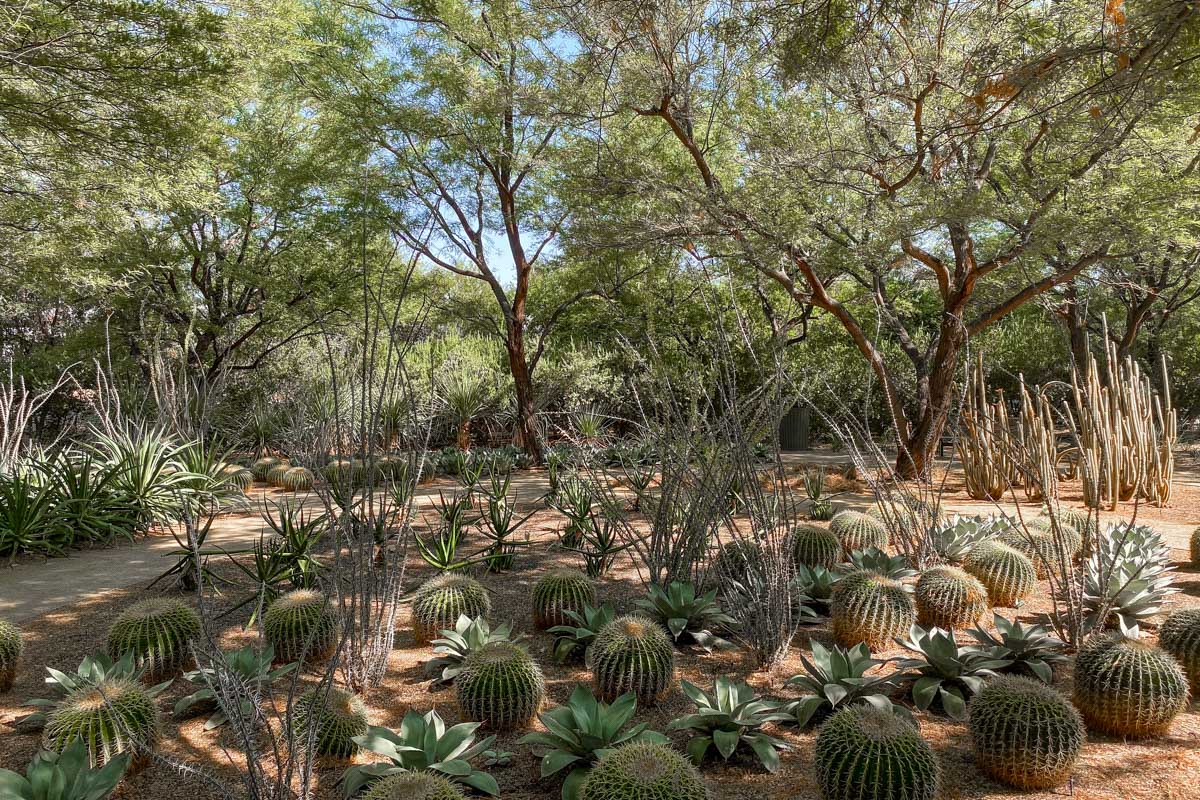 Moorten Botanical Garden in Palm Springs California