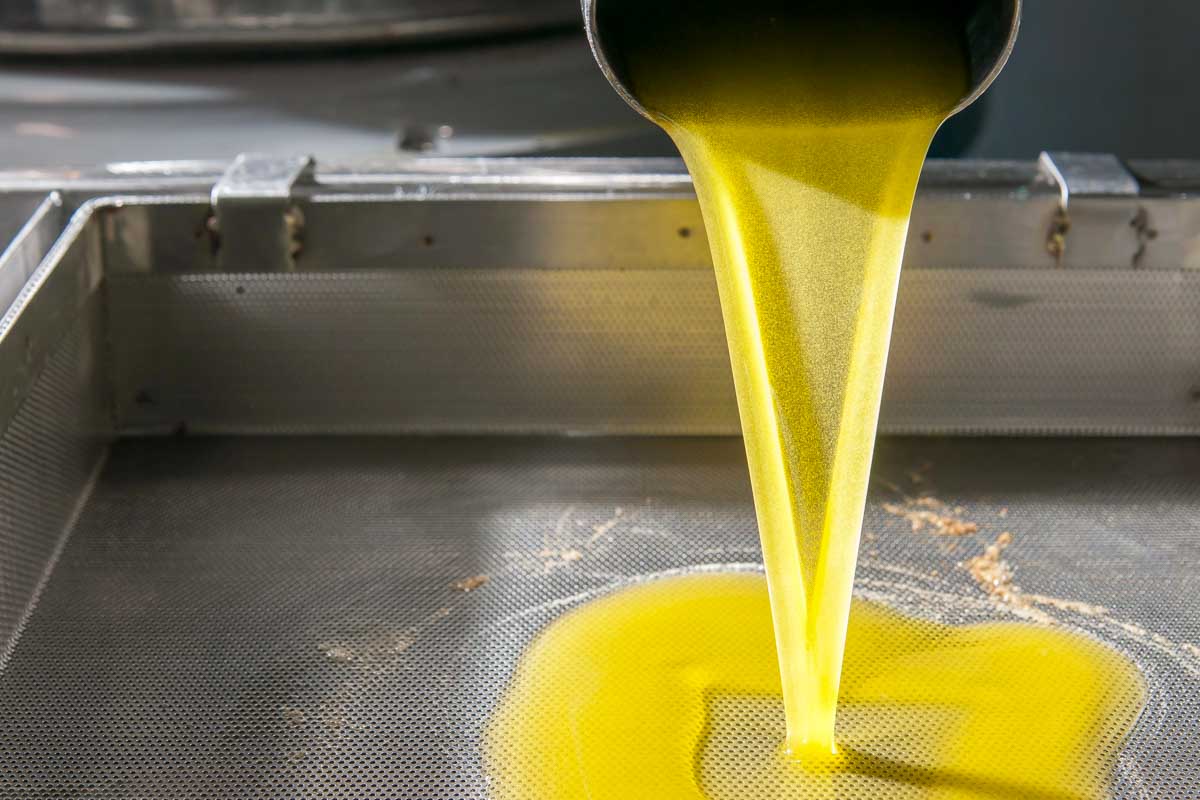 Olive oil being made on a tour from Sorrento Italy