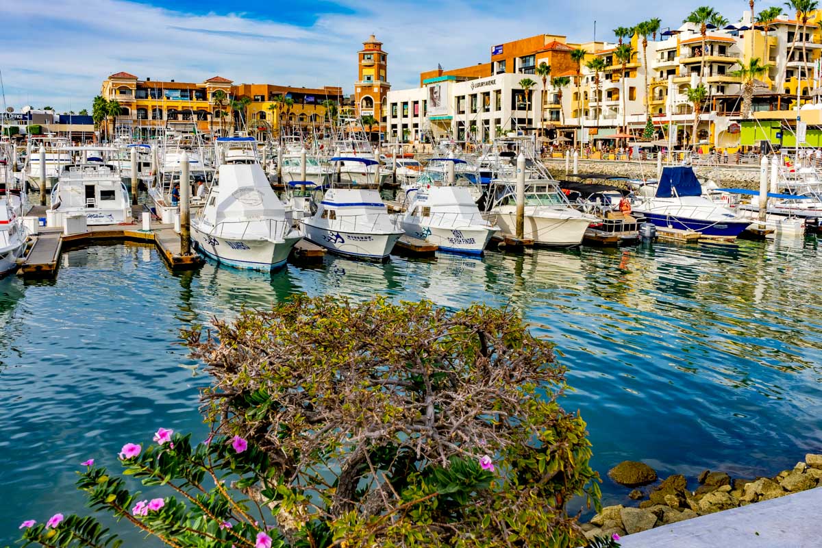The Cabo San Lucas Marina in Mexico