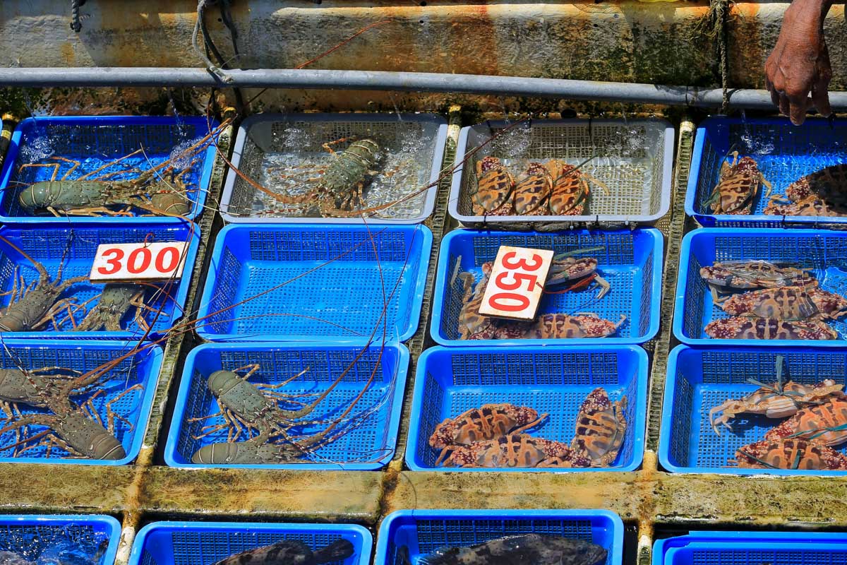 The Wan Chai Wet Market in Hong Kong (1)
