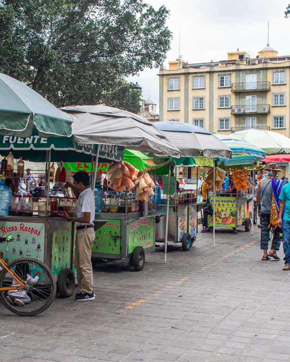 The-food-carts-in-Oaxaca-Mexico