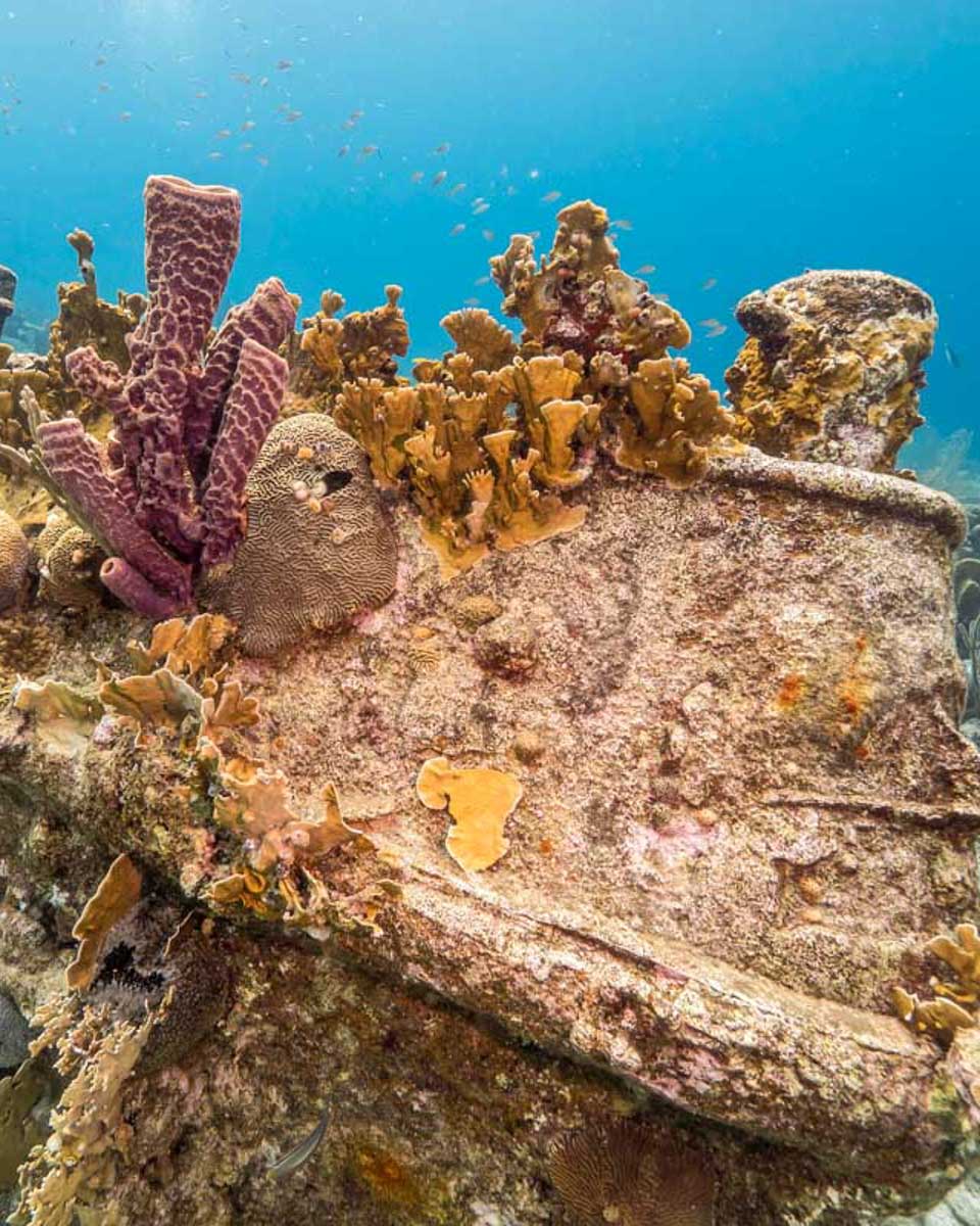 A shipwreck seen on a snorkel tour from Bermuda