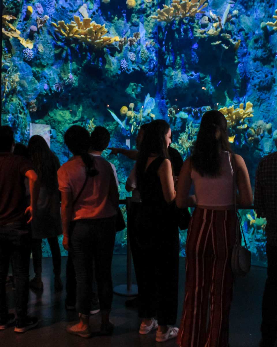 Biomuseo in Panama City Panama