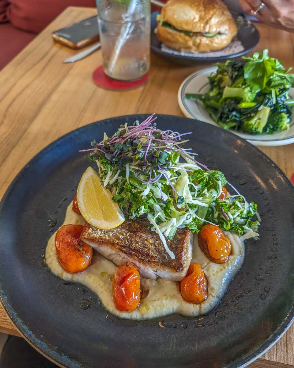 Fish-dish-at-a-restaurant-in-punta-cana