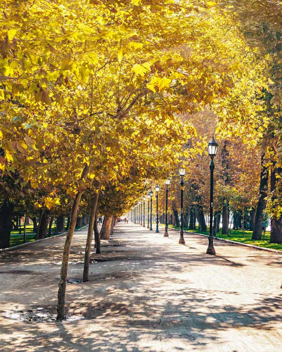 Forestal-Park-in-downtown-Santiago-Chile 1