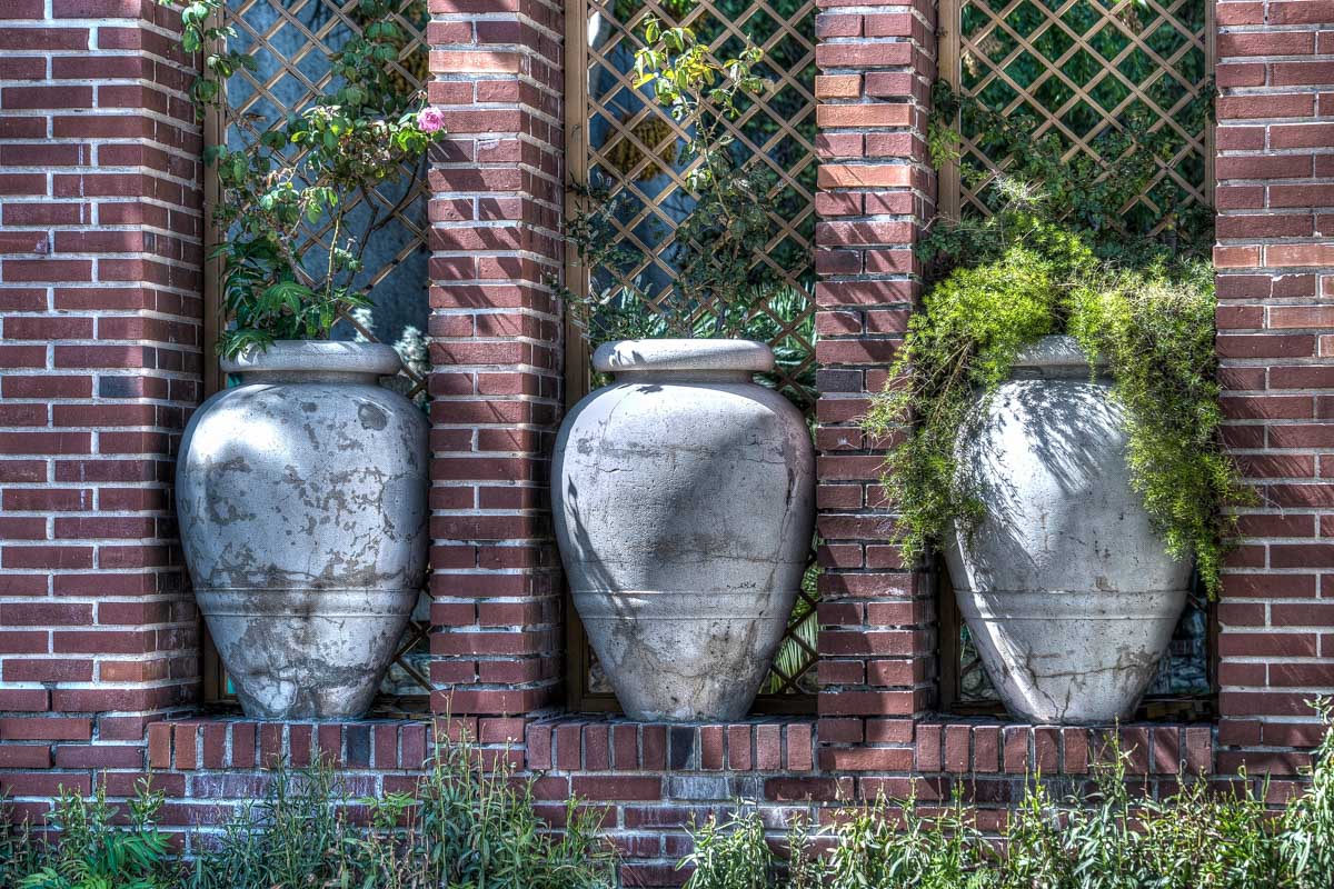 Plants in pots at the Orto Botanico di Cagliari in Sardinia Italy