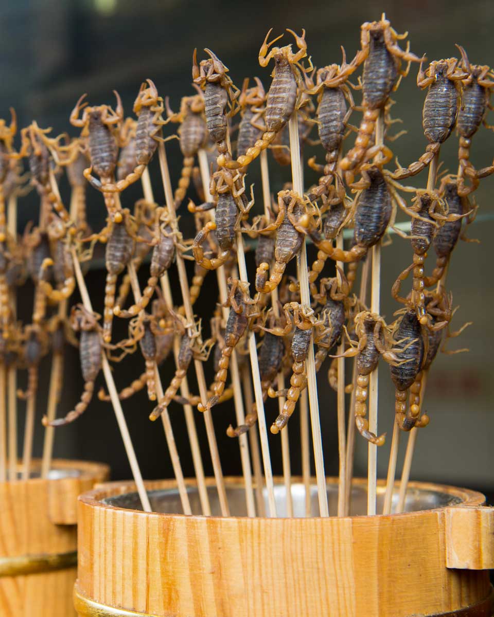 Scorpion on a stick in Wangfujing Pedestrian Street in Beijing China