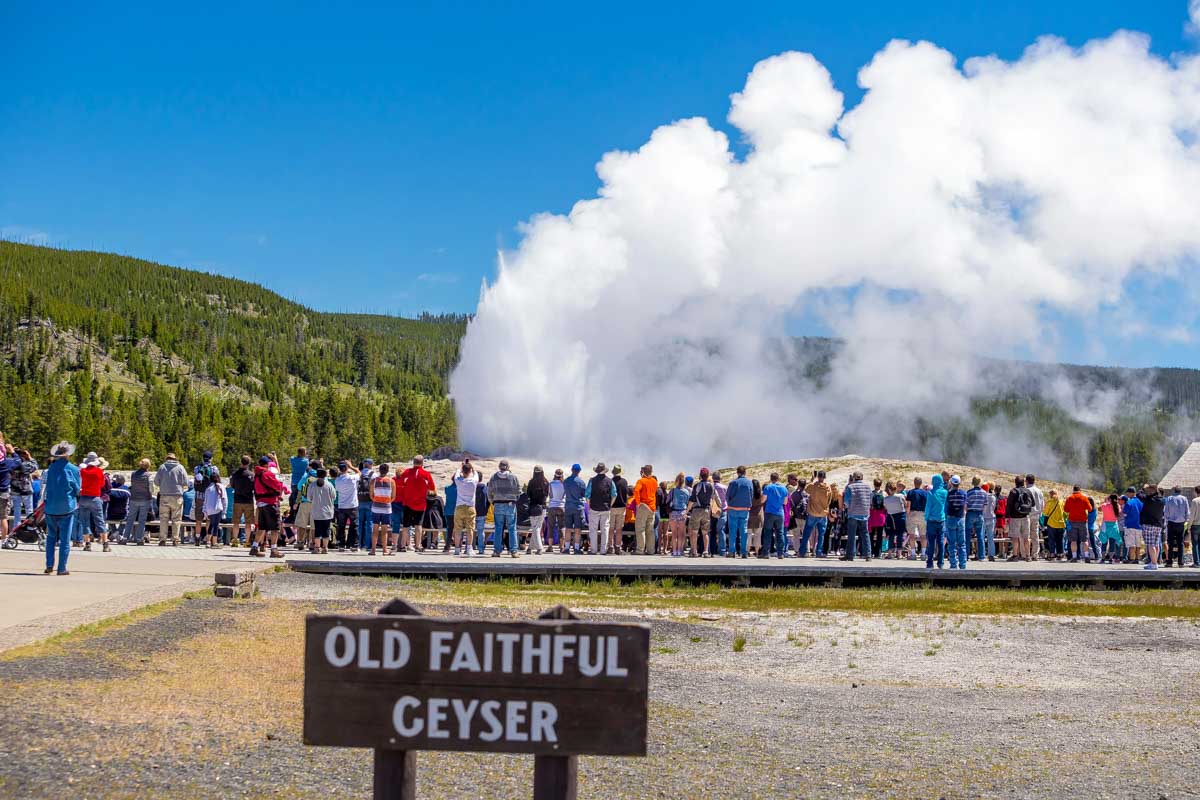 The Old Faithful Gyser seen in Yellowstone National Park on a day trip from Jackson Hole Wyoming