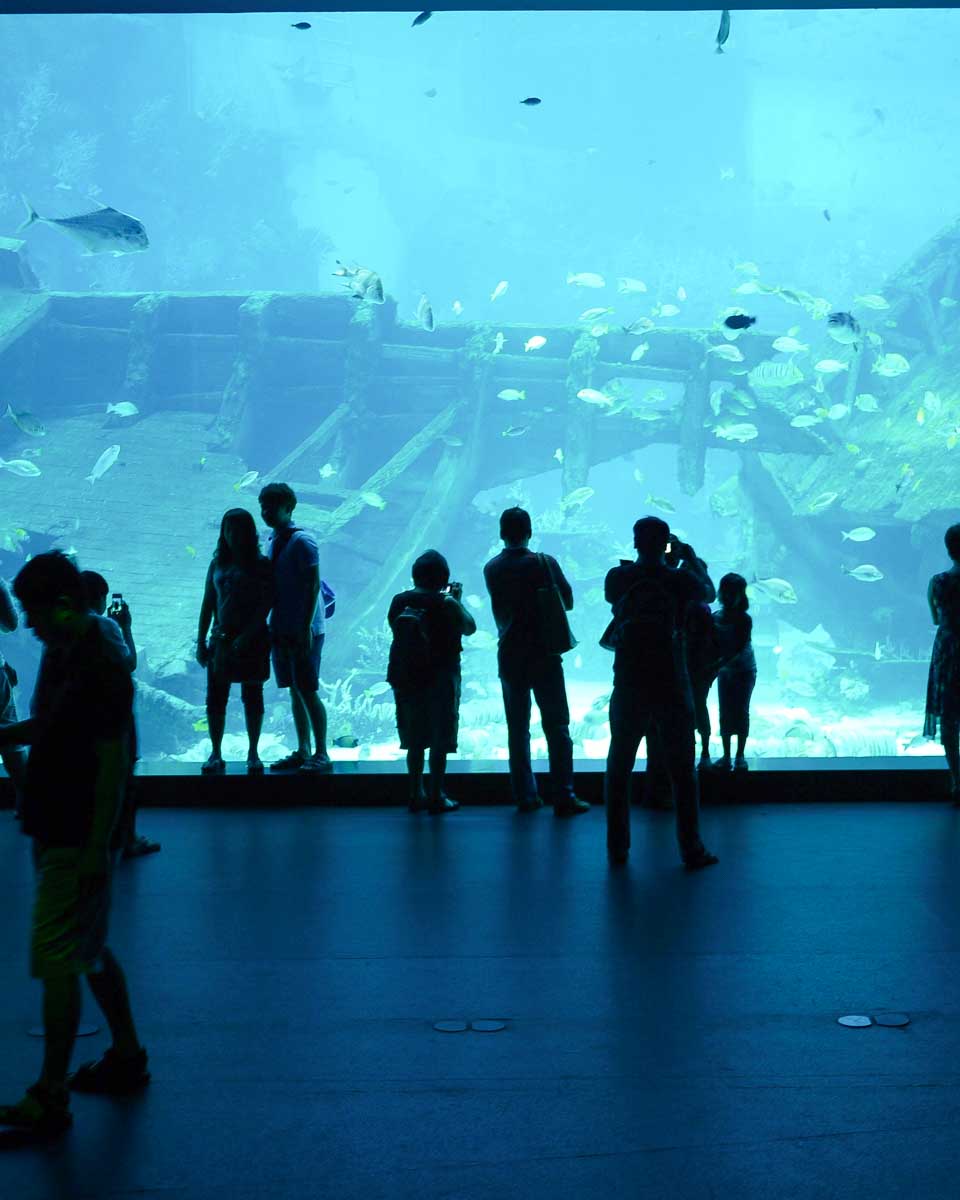 The Singapore Oceanarium in Singapore