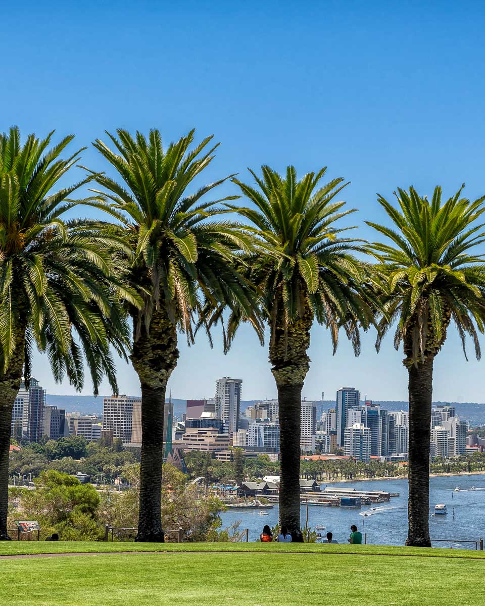 View of Kings Park in Perth Australia