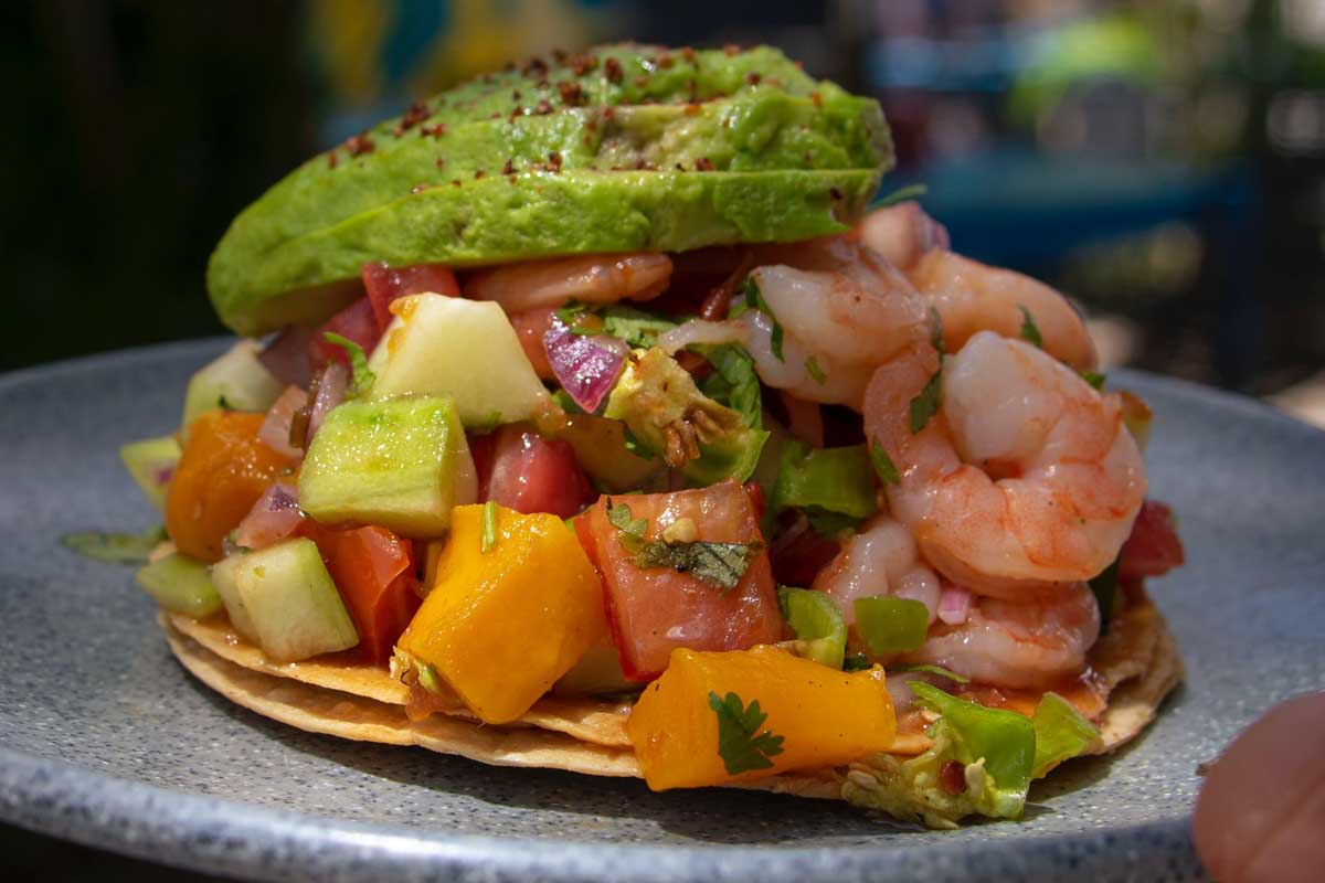 Zitla y Zicatela México in Playa del Carmen Mexico