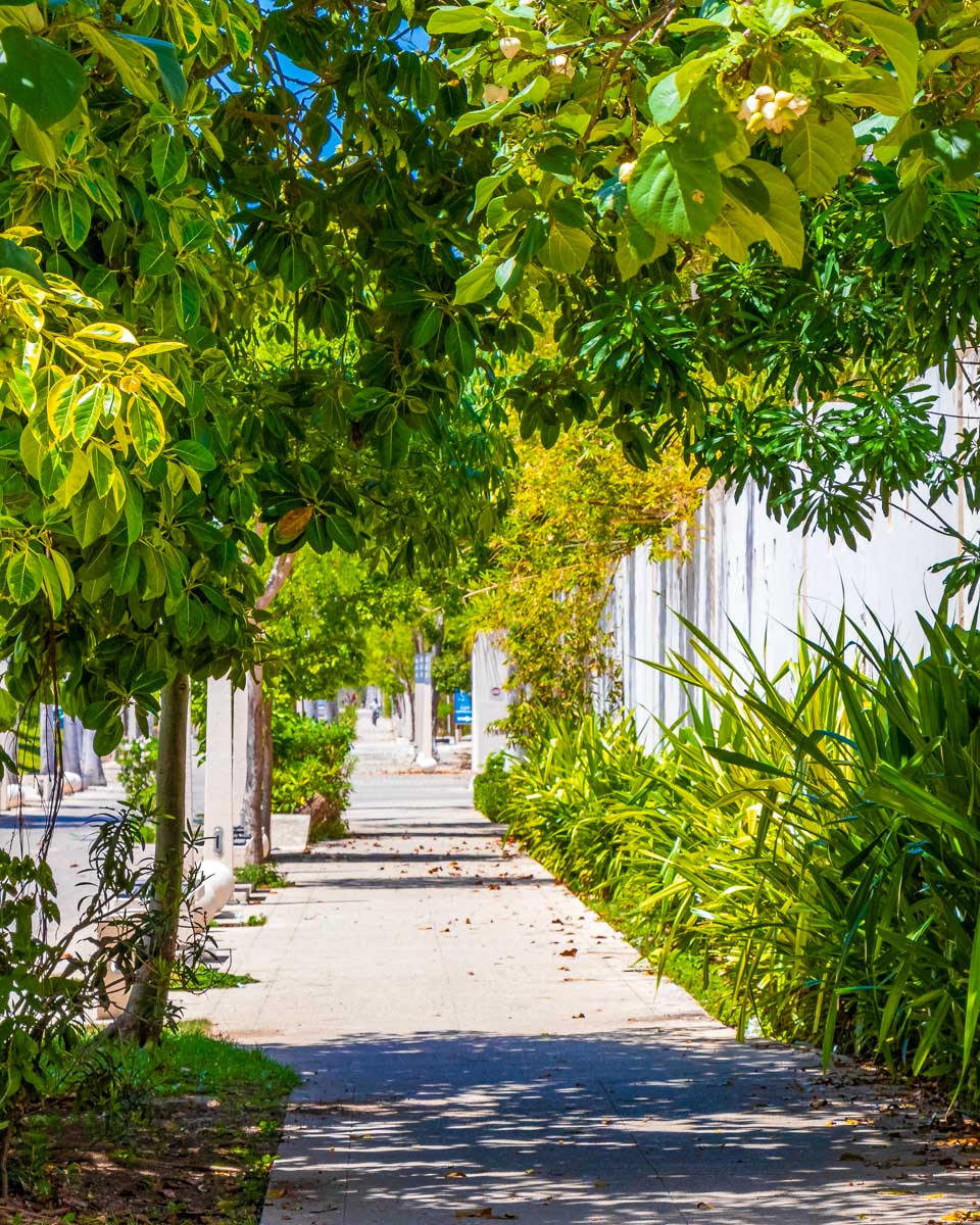 A walking path in Zazil-Ha Playa del Carmen Mexico
