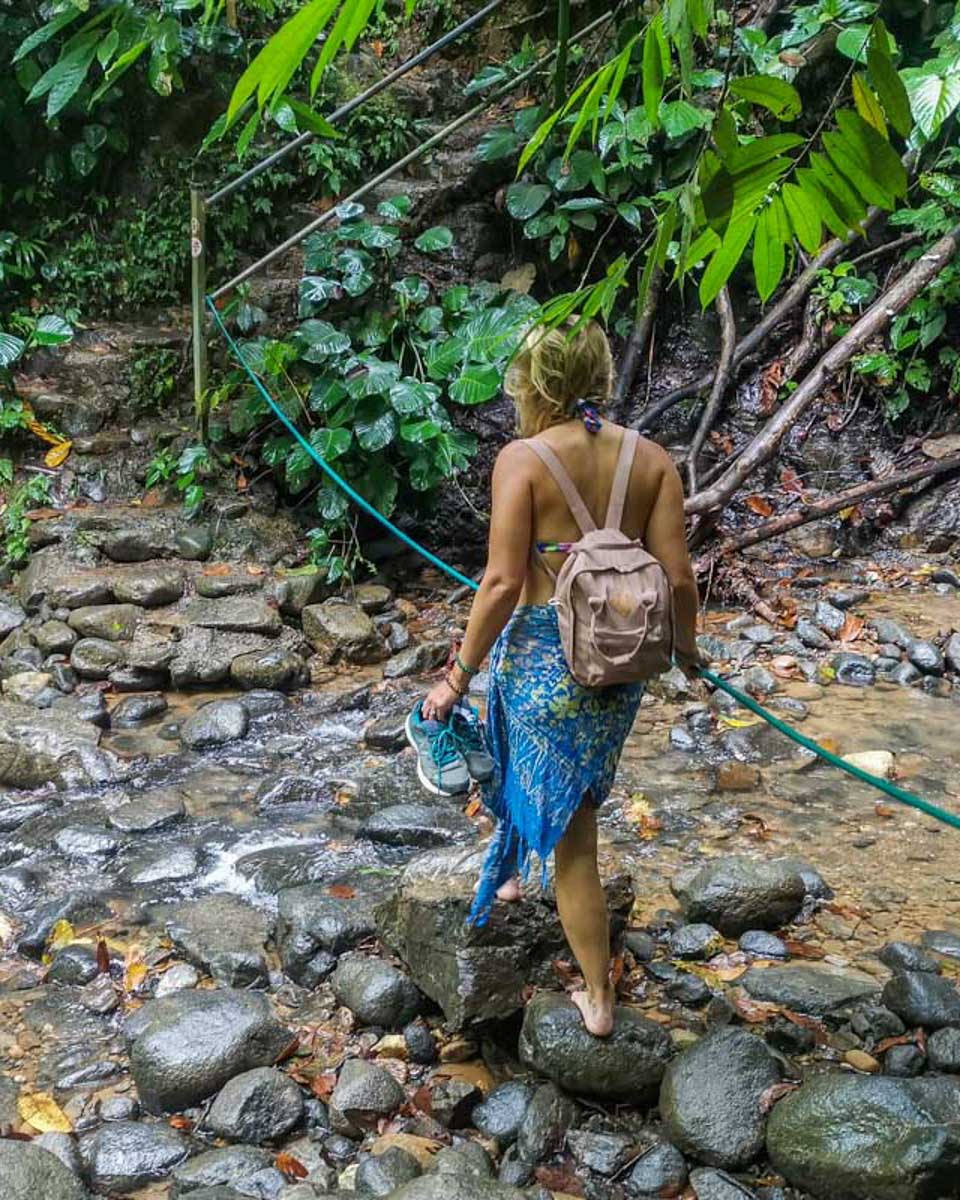 Bailey-walks-on-a-on-the-way-to-a-waterfall-in-Puerto Rico