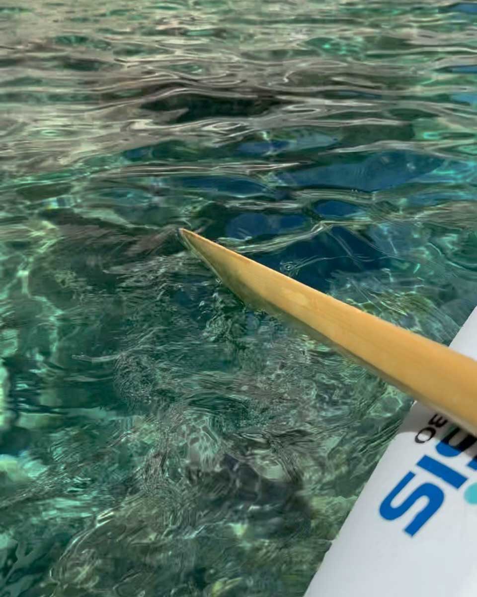 Capri Hydro in Capri Italy (3)