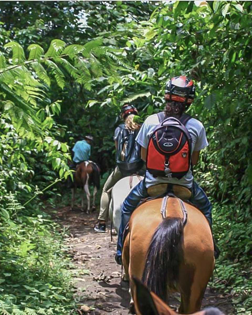 Horseback-tour-from Puerto Rico in El Yunque National Forest