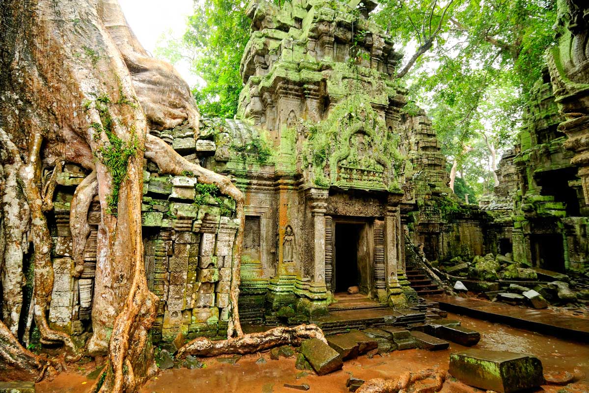 Ta Prohm temple in Siem Reap, Cambodia