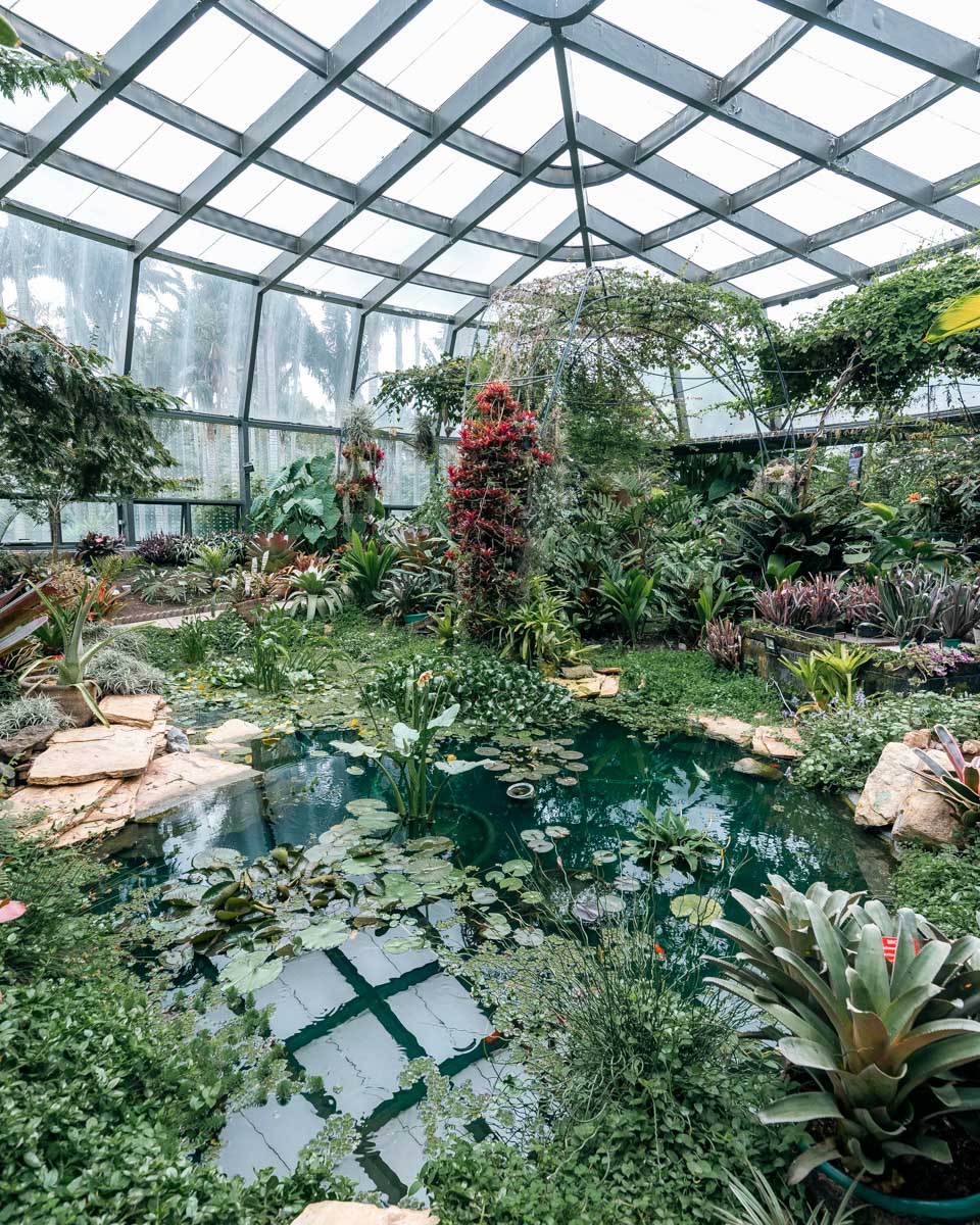 The Botanical Garden in Bogota Colombia (1)