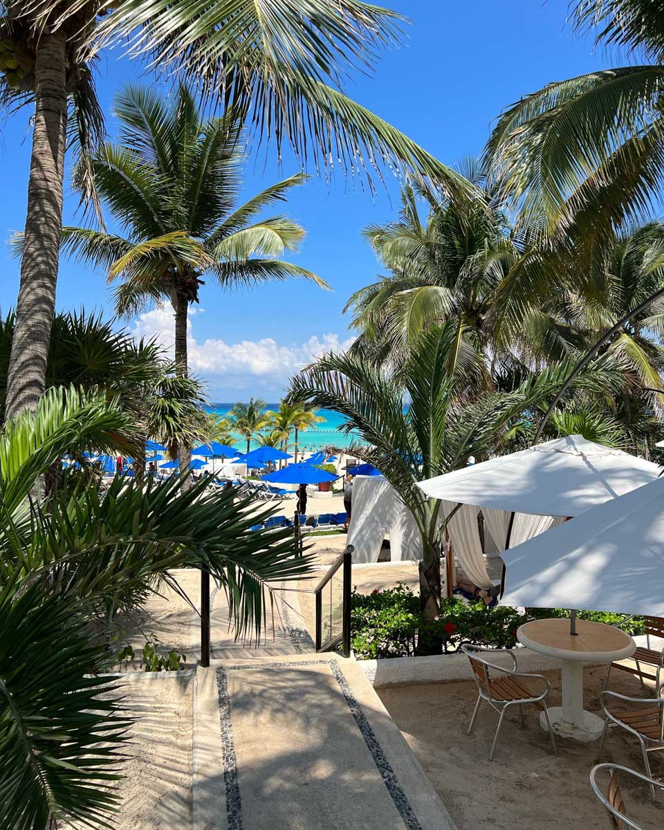 The Reef 28 in Playa del Carmen Mexico