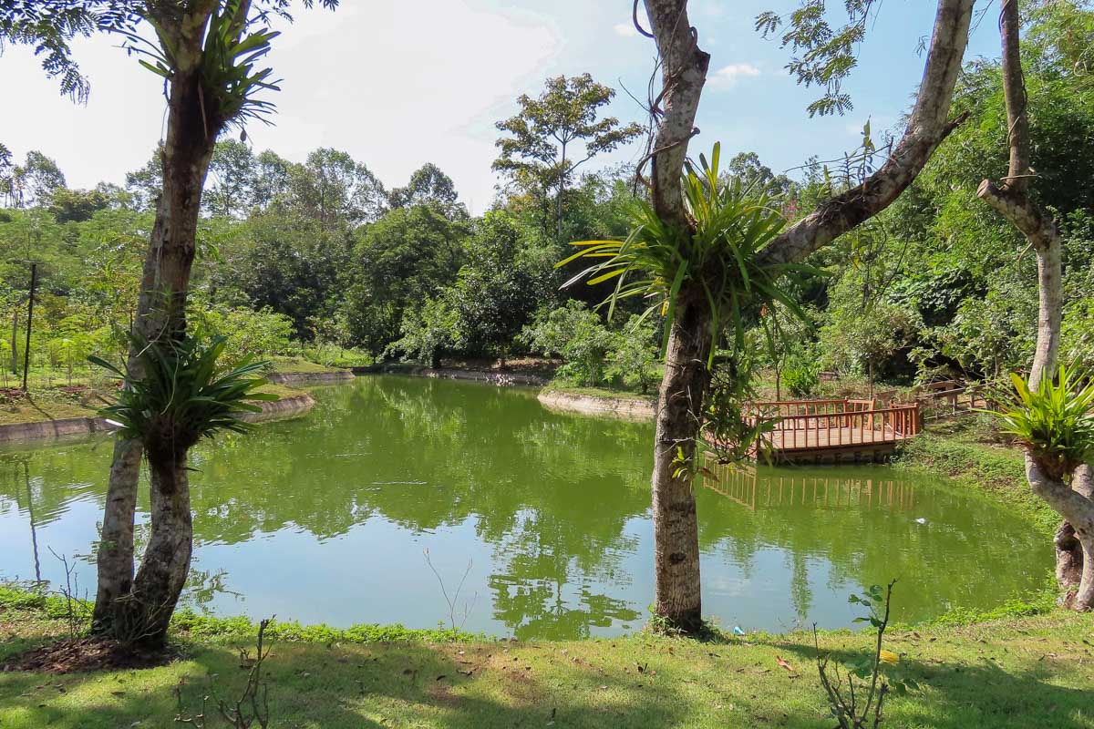 The Siem Reap Botanical Garden Cambodia