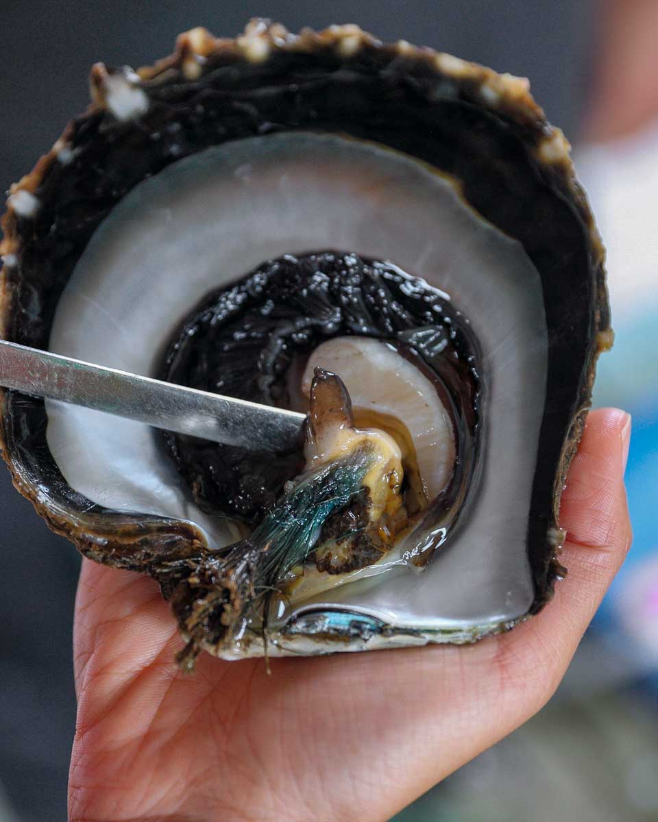 Farming for black pearls on a tour in Bora Bora