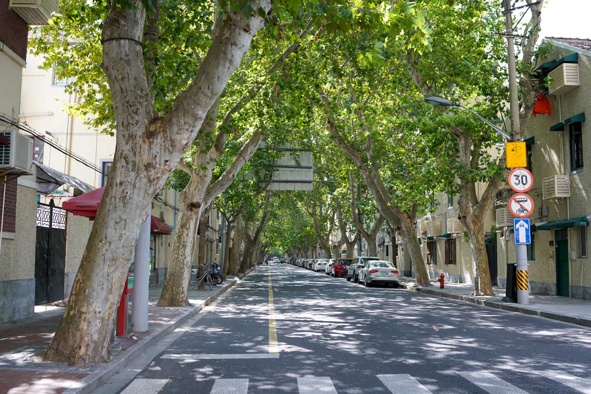 Former French Concession in Shanghai China seen on a tour
