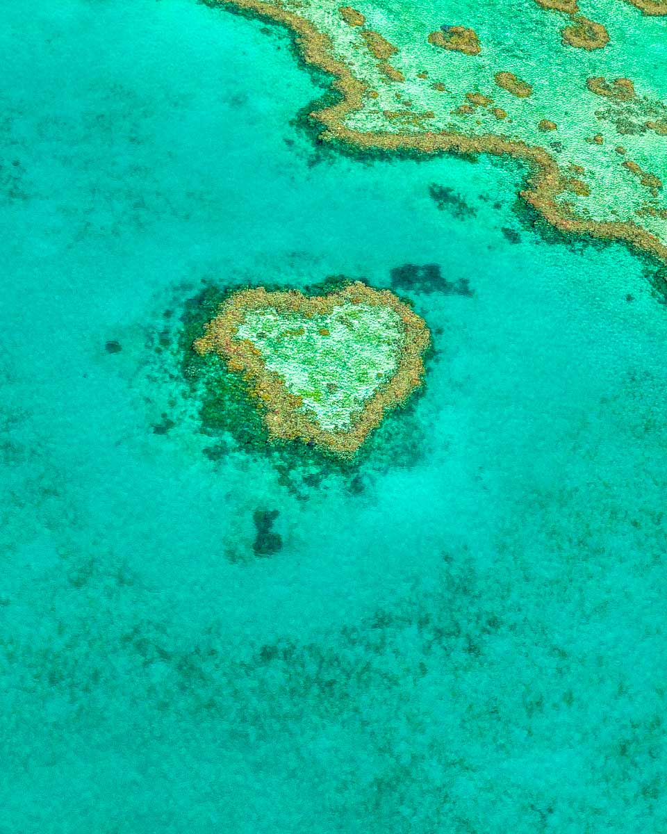 Heart choral reef in Whitsunday Islands near Airlie Australia