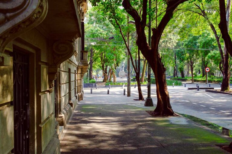 Roma Norte in Mexico City, Mexico
