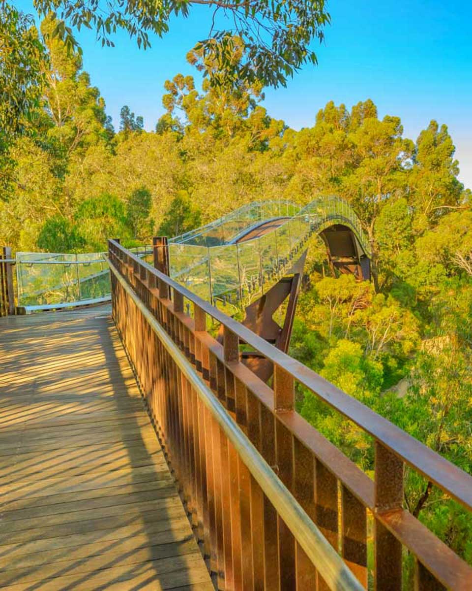 The-glass-bridge-in-Kings-Park-Perth-Australia
