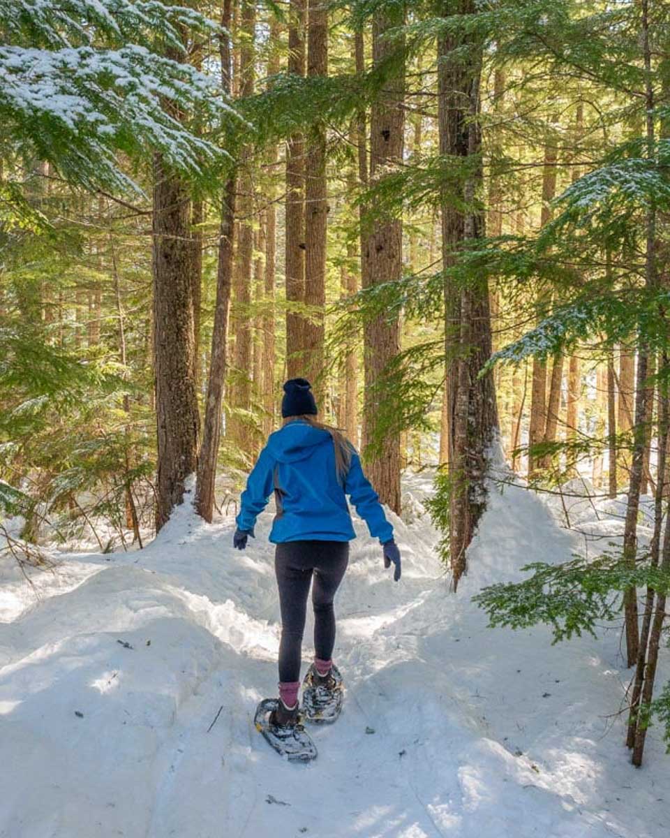 Bailey-snowshoes-in-Lake Louise Canada