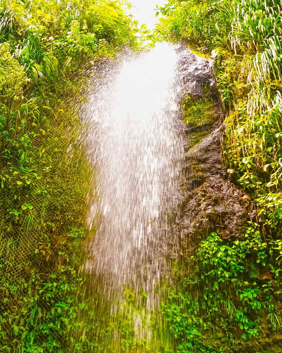 Diamond Falls and Botanical Garden in Saint Lucia