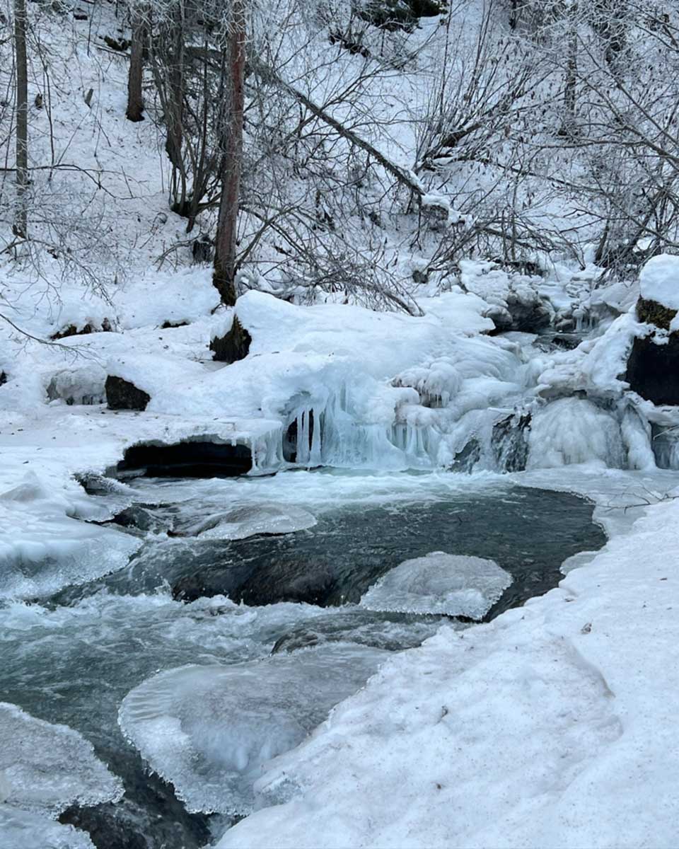 Go Hike Alaska in Anchorage Alaska 2