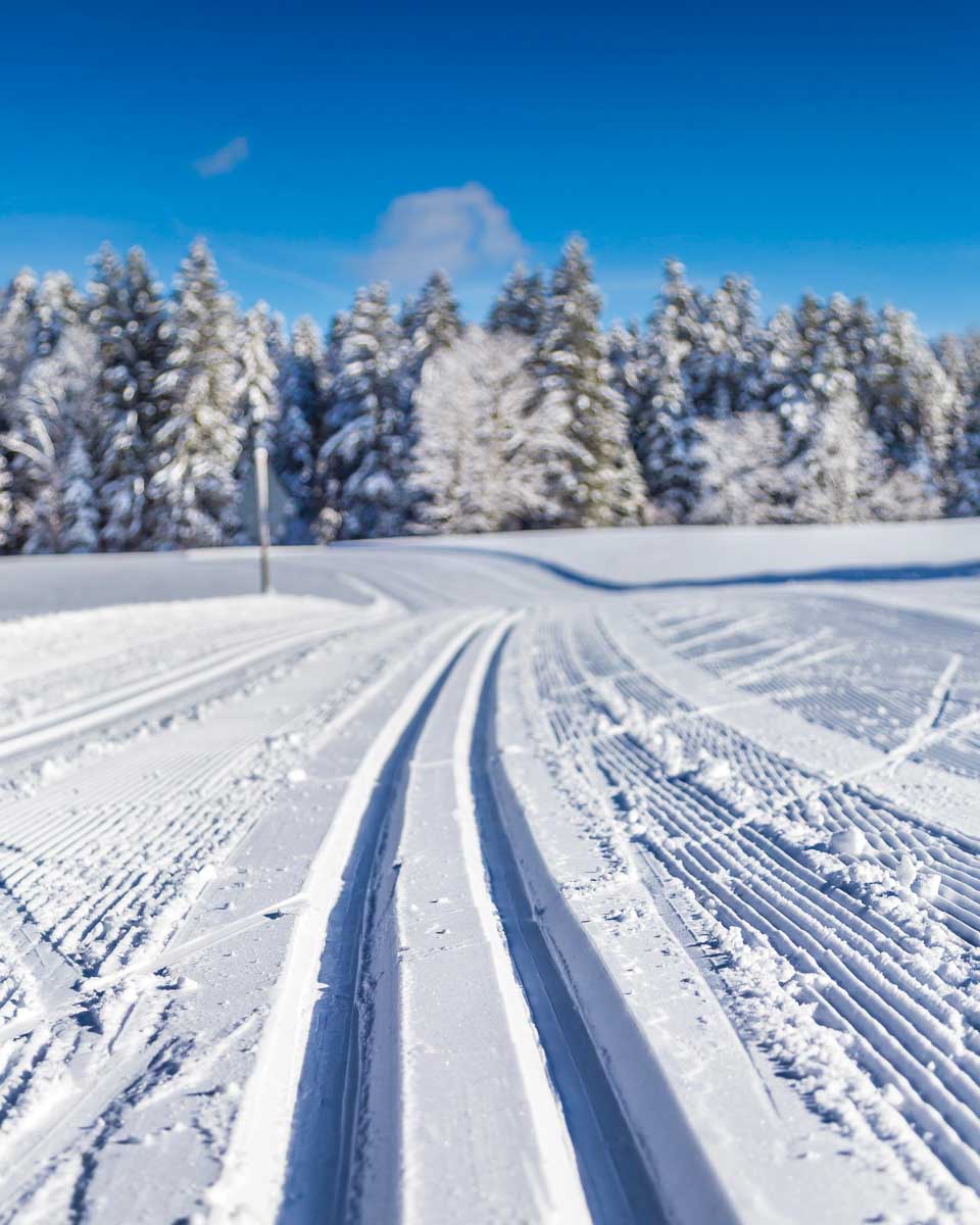 Landscape while cross country skiing in Rovaniemi, Finland
