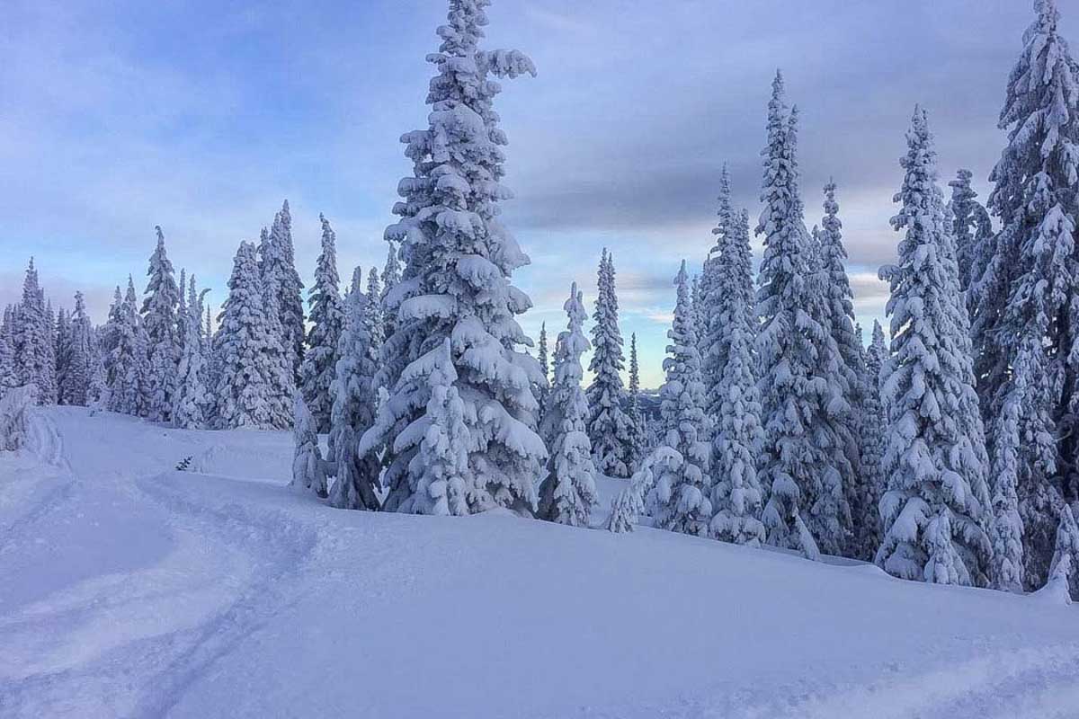 Part of the Valley Trail in Whistler Canada in winter