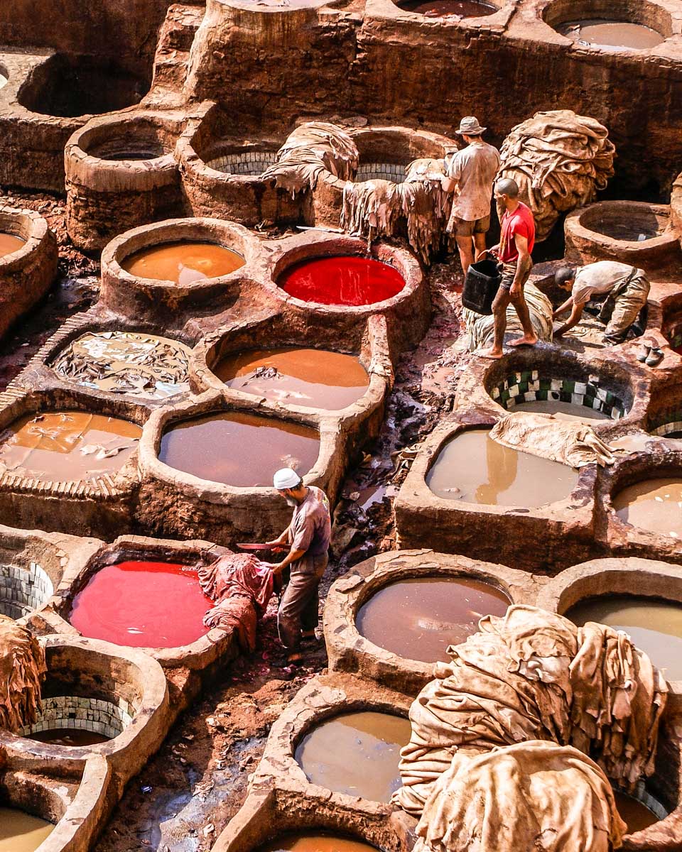 Tannery in Fez Morocco seen on a tour
