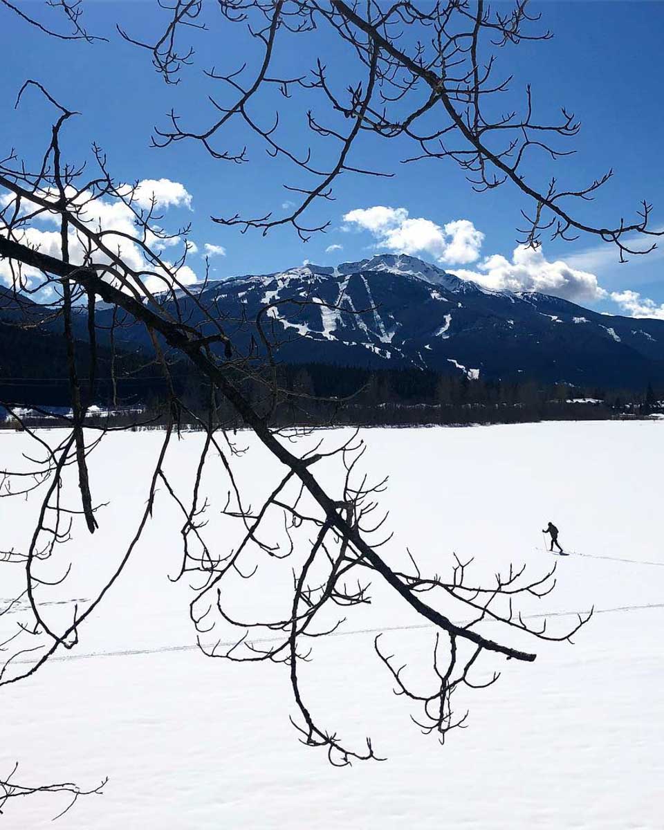 Whistler Valley Tours in Whistler Canada 1