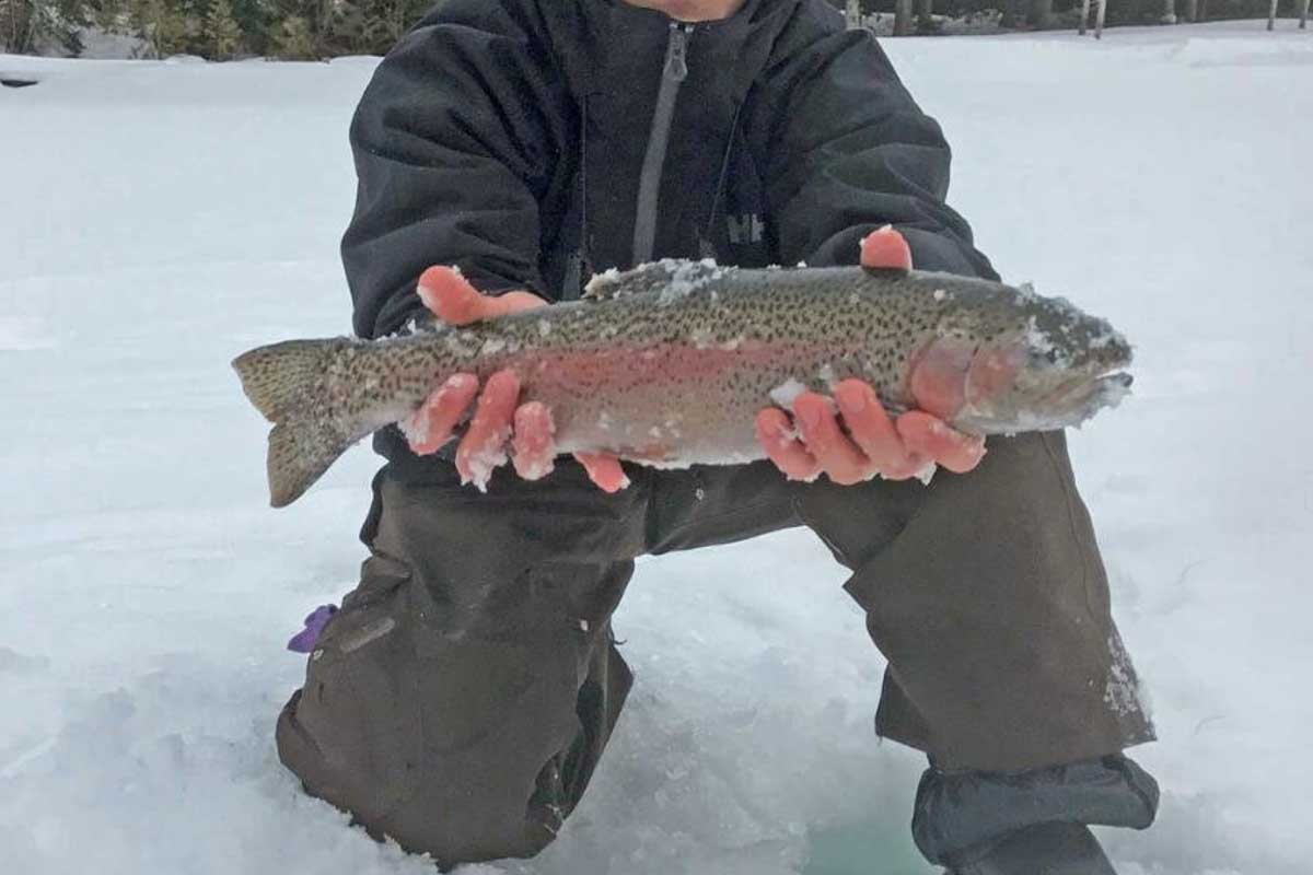 Whistler Year-Round Fishing in Whistler Canada 1